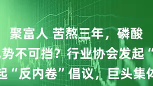 聚富人 苦熬三年，磷酸铁锂涨价已势不可挡？行业协会发起“反内卷”倡议，巨头集体涨加工费