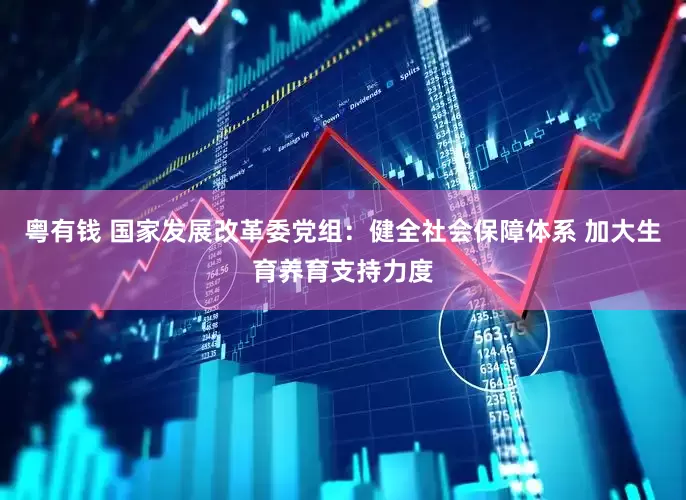 粤有钱 国家发展改革委党组：健全社会保障体系 加大生育养育支持力度