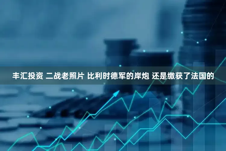 丰汇投资 二战老照片 比利时德军的岸炮 还是缴获了法国的